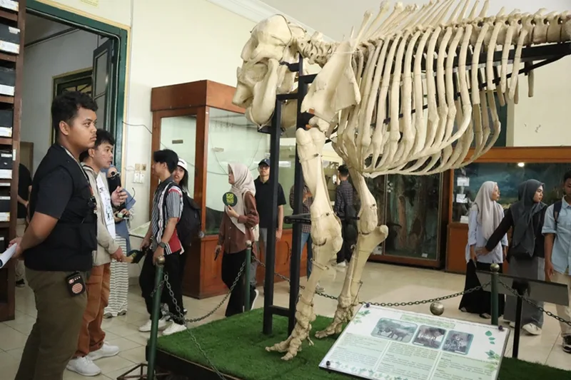 Pengunjung mengamati koleksi sejarah dan display pameran Trinetra di Selasar Museum Dr Yap Yogyakarta